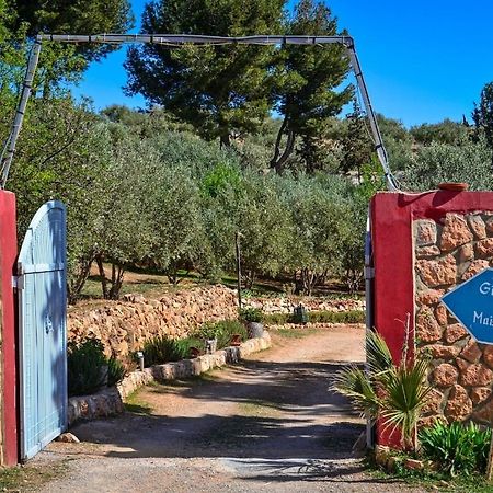 Gite KarineImouzzer du Kandar エクステリア 写真
